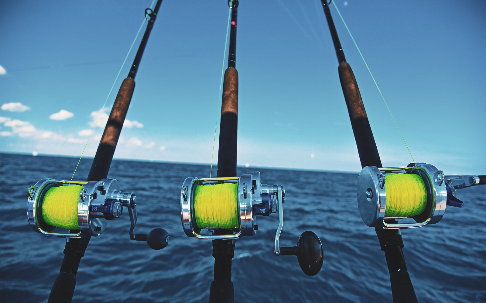 Sailfishing